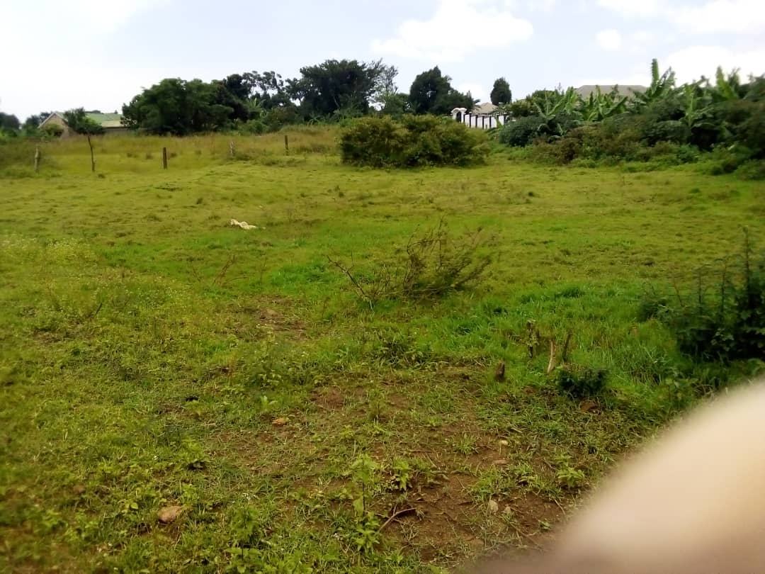 WhatsApp Image 2021-02-26 at 12.30.19 AM.jpeg